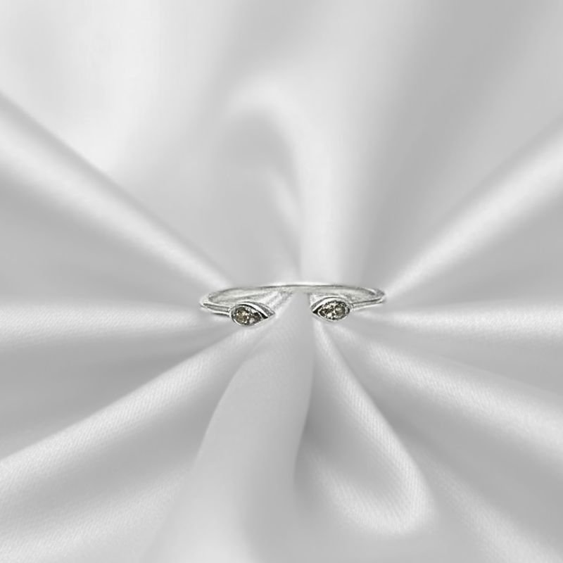 ANEL PRATA 925 COM DUAS PEDRAS